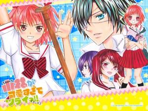 Wallpapers agosto 2012