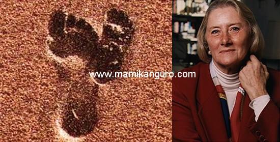 El Concepto del Continuum de Jean Liedloff