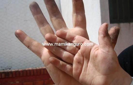 Proyecto: Nuestra Huerta