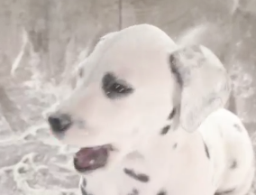 Captura de pantalla 2012 10 01 a las 22.21.50 MANCHAS ADORABLES, PERO NO EN TU PIEL (nuevo corrector anti manchas de Garnier)