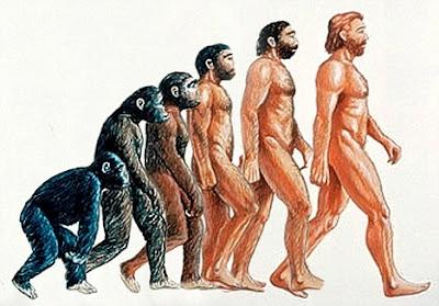 EL TREN DE LA EVOLUCIÓN