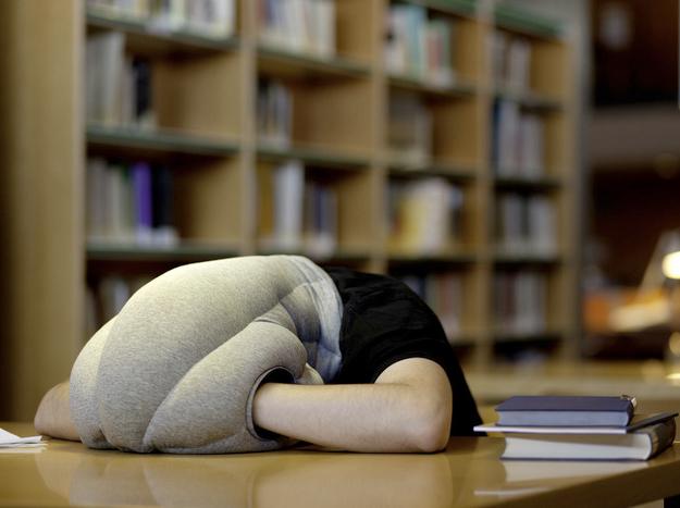 ¿HAS PASADO UNA MALA NOCHE? OSTRICH PILLOW !