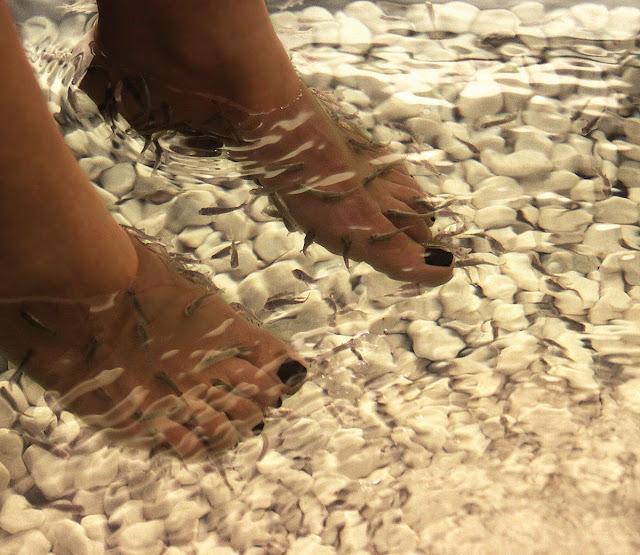 Garra Rufa para la psoriasis