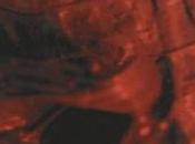 Libros sobre mesa: Antropología paisaje