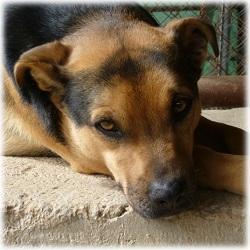 Cloe, otro de nuestros invisibles que sigue sin encontrar una familia.