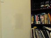 Diy: pared mariposas!