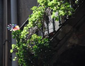 Una nueva semana (y II) (La Ribera, Barcelona, juliol 2011) UNA NUEVA SEMANA, UNA NUEVA OPORTUNIDAD (y II)