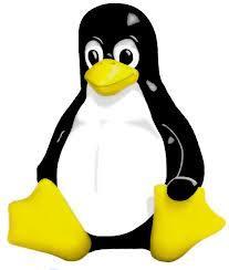 Las soluciones Linux pueden reducir hasta un 80% los gastos de software y hardware. Las soluciones Linux pueden reducir hasta un 80% los gastos de software y hardware.