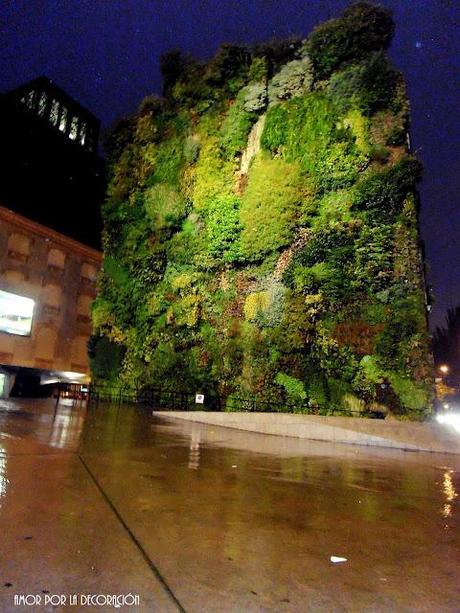 DE PASEO A DECORACCIÓN... ¡¡¡Y POSTERIOR RESFRIADO!!!