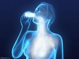 p253 Diferencias entre los alimentos probióticos y los alimentos prébióticos.  