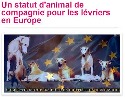 PETICIÓN DE FIRMAS PARA PROTEGER A LOS GALGOS EN EL PARLAMENTO EUROPEO.