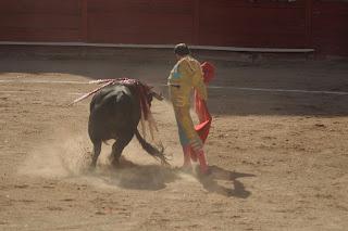 'Alguien estaba lejos, no sé si el toro o el torero...'