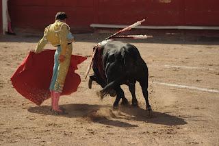 'Alguien estaba lejos, no sé si el toro o el torero...'