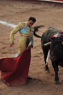 'Alguien estaba lejos, no sé si el toro o el torero...'