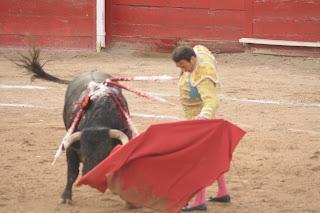 'Alguien estaba lejos, no sé si el toro o el torero...'