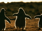 Estamos gustito red)