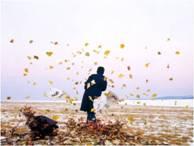 La belleza del Ecotoño