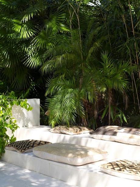 Exuberancia tropical