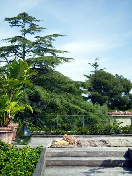 Exuberancia tropical