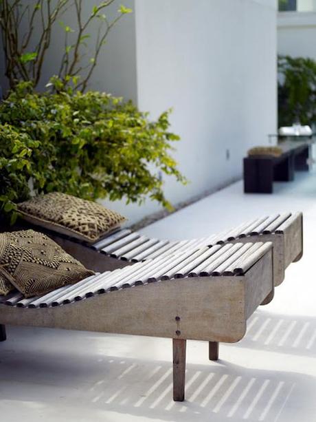 Exuberancia tropical