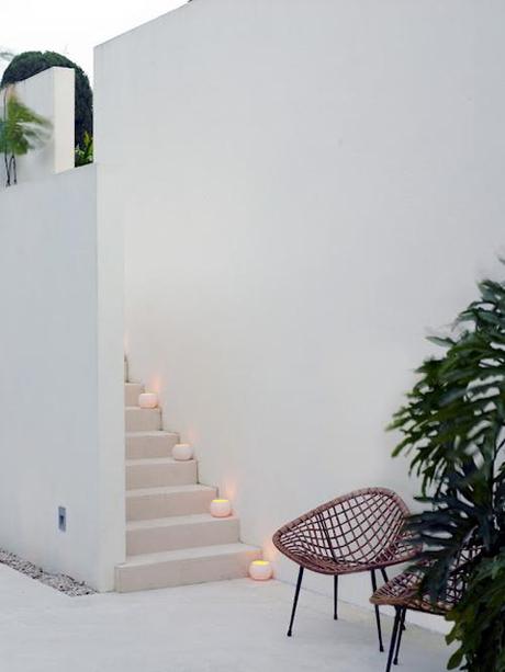 Exuberancia tropical