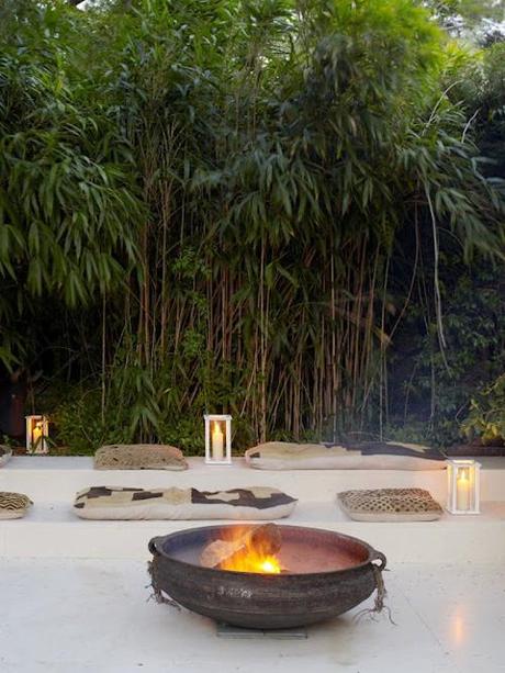 Exuberancia tropical