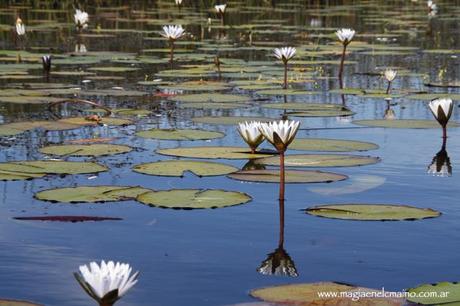 Un niño de 42 años