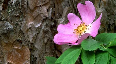 Aprendiendo de los errores