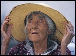 Guìas de Programas para Adultos Mayores (Descargas)