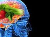 Consejos alimenticios para nuestro cerebro