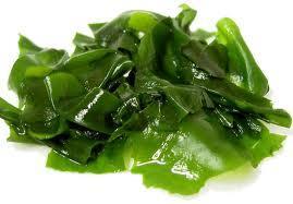 a459 Algas: Verduras del mar para adelgazar  
