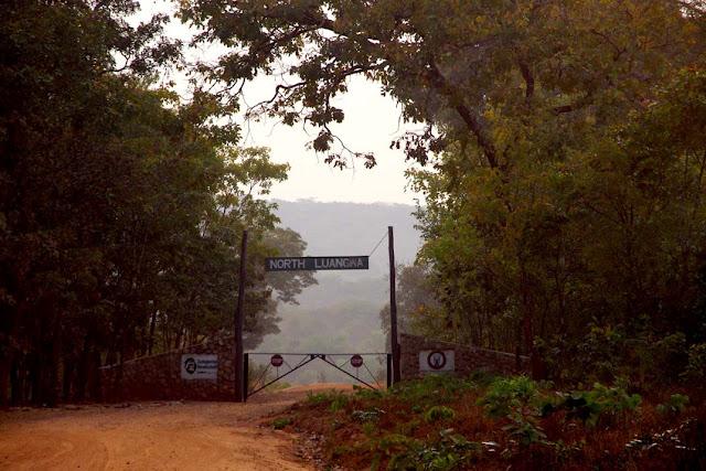 El valle de Luangwa, comencemos desde el Norte