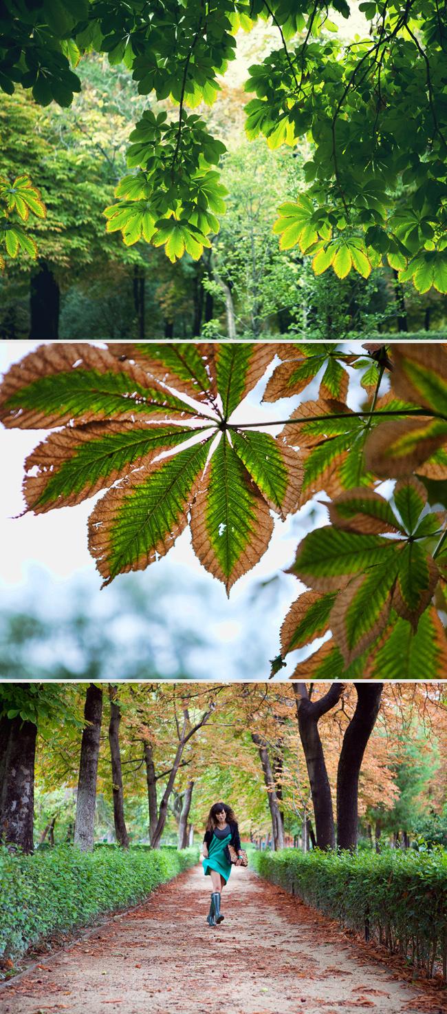 hunter & beba´s closet lady dress