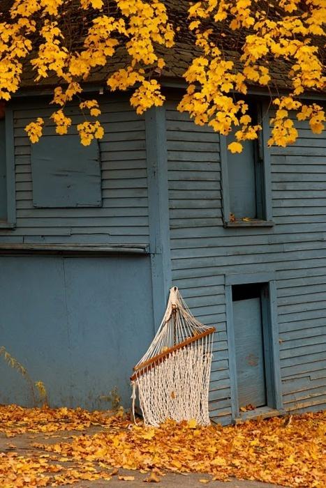 ¡Bienvenido otoño!