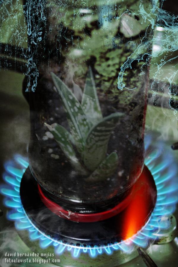 Fuego a la tierra, al aire, agua: #Reto 4 Elementos