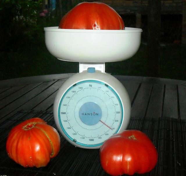 PRODUCTOS DE LA HUERTA......(Tomates).-