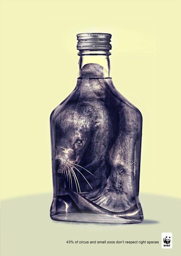 Ver el circo con otros ojos