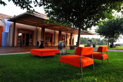 Cinema Diví, Maridatge de cinema i vi amb el TR3SC i DO Catalunya