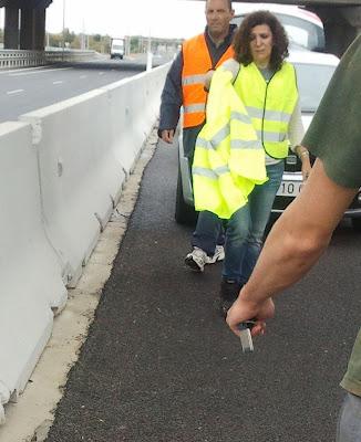 El Galgo sin nombre.