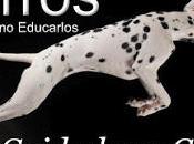 Aprende adiestrar perro Android