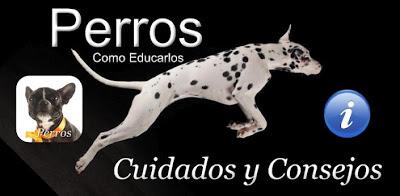 Aprende adiestrar a tu perro con Android