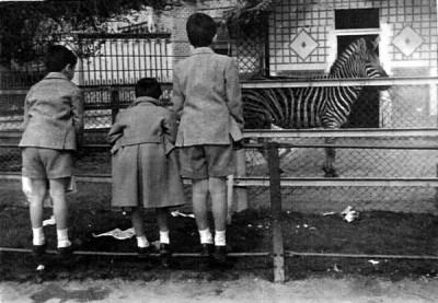 Casa de Fieras de El Retiro (1770-1972)