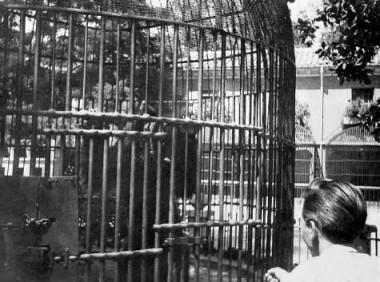 Casa de Fieras de El Retiro (1770-1972)