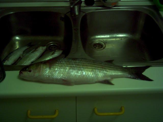 DÍA DE PESCA: 16-09-12