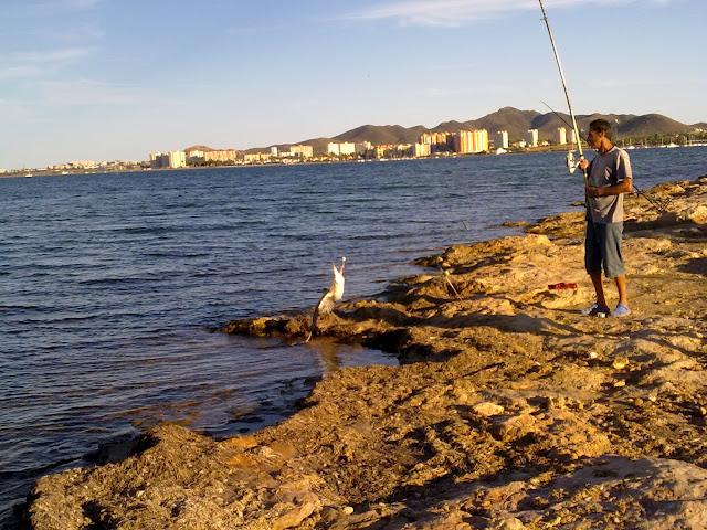 PESCANDO GAVIOTAS