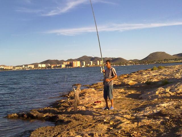 PESCANDO GAVIOTAS