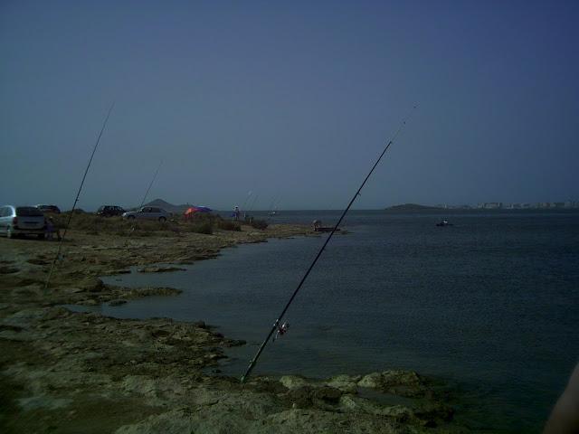 AMIGOS DE PESCA: PRIMERA VISITA A LA LOMA DE ANTONIO Y SANTI de MULA