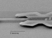 Creado instrumento musical pequeño mundo: primera nanoguitarra