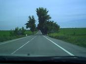 Calasparra