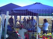 Exhibición aviones poyo